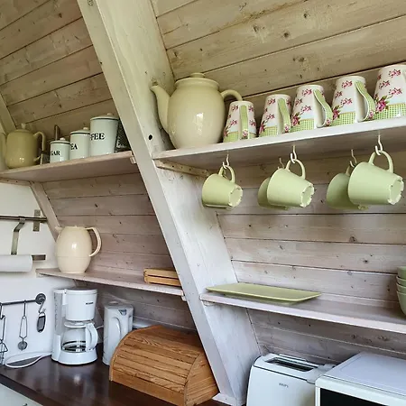 Windrose Holiday home Damp